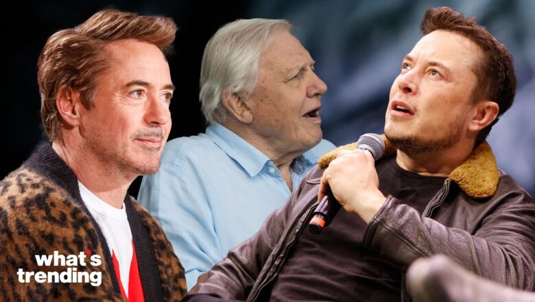 Robert Downey Jr., David Attenborough, & More Weigh In on the PERILS & PROMISE of AI