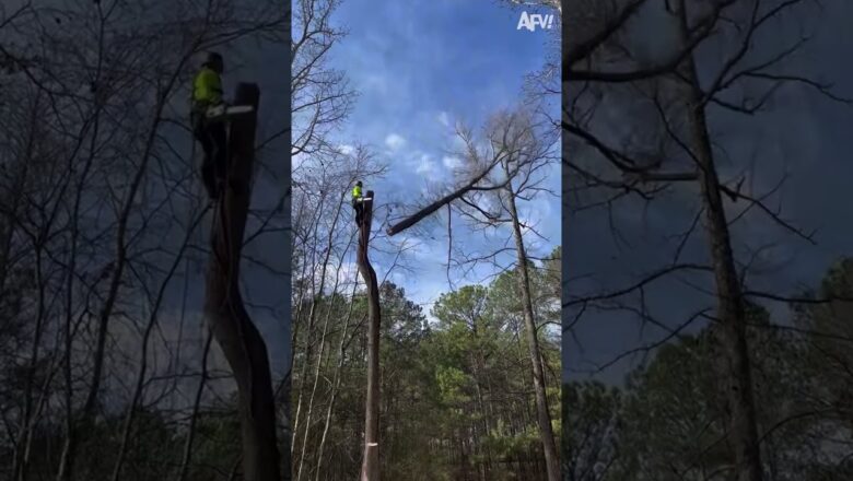 Couldn’t be me up there! 😲 #afv #fail