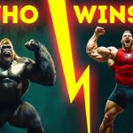 Human VS. Gorilla: Who Would Win And Why?