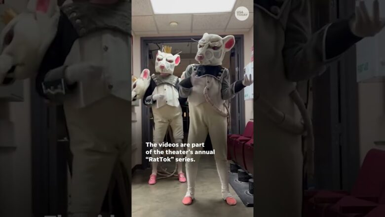 Nutcracker rats ditch ballet for TikTok moves #Shorts