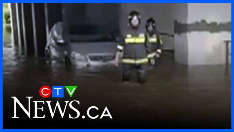 Car with driver inside pulled from severely flooded road in Florence, Italy