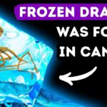 ‘Frozen Dragon’ Species Was Trapped in Ice for 76 Mln Years