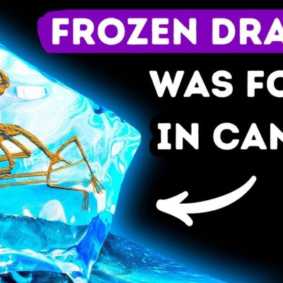 ‘Frozen Dragon’ Species Was Trapped in Ice for 76 Mln Years