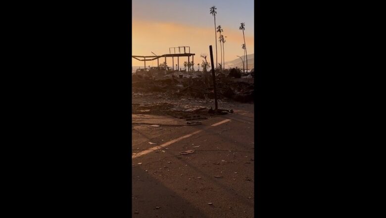 LA wildfire victims return to neighborhoods burnt to ash #Shorts