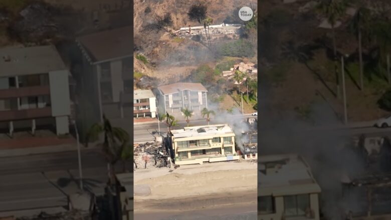 Los Angeles fire devastation seen from high above #Shorts