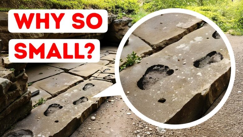 Scientists Found Footprints That Reveal a New Past