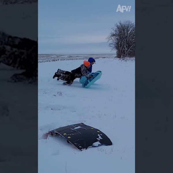 Who said going downhill was easier than up? 🤣 #afv #fail #funny