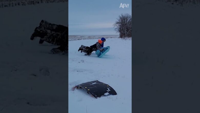 Who said going downhill was easier than up? 🤣 #afv #fail #funny