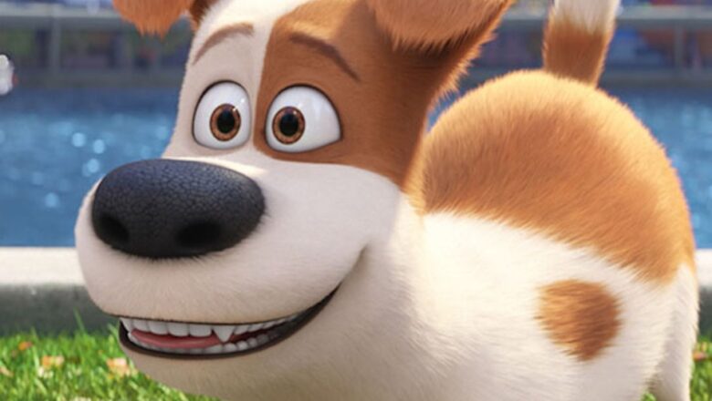 ‘The Secret Life of Pets’: Meet the Voices Behind Each Furry Friend