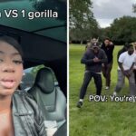 Experts Weigh In As MrBeast’s Tweet Sparks Viral ‘100 Man vs. Gorilla’ Debate
