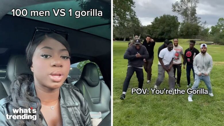 Experts Weigh In As MrBeast’s Tweet Sparks Viral ‘100 Man vs. Gorilla’ Debate