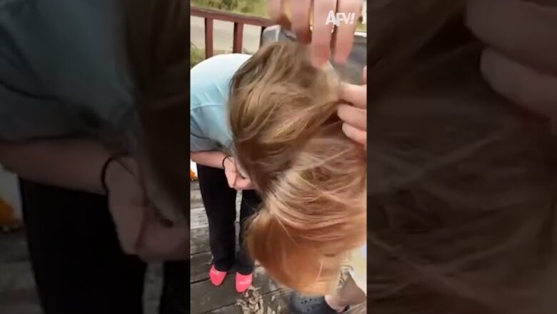 There’s a ✨squirrel✨ in her ✨hair✨ #afv #funny #shorts