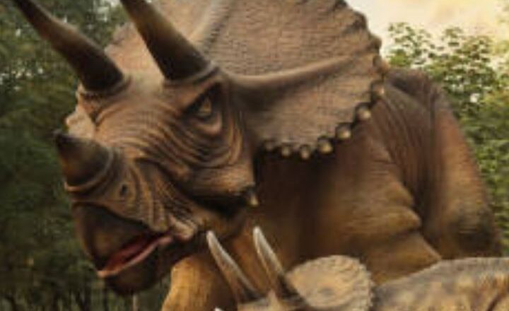 5 animals that outlived dinosaurs