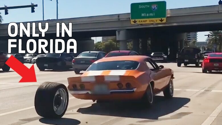 Funny Florida Fails! 🐊 Sunshine State Stupidity