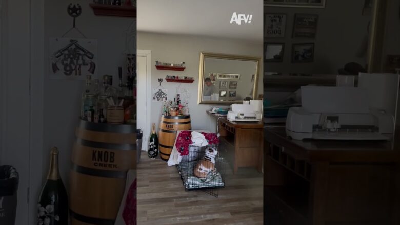 I bet he was so relieved 😂 #afv #prank #funny #shorts