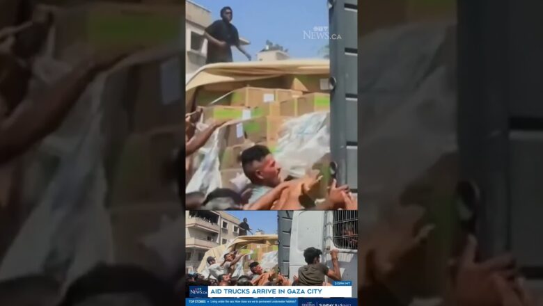 Journalist and Red Cross workers among 38 killed in Gaza after Israeli air strike