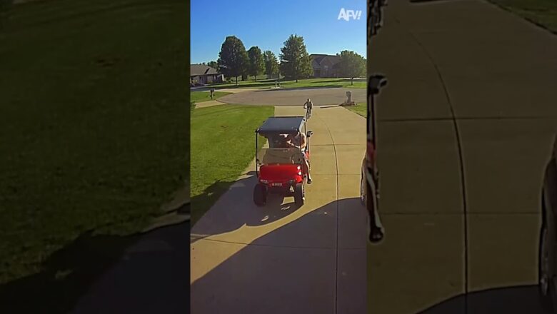 Keep those cameras on, folks! 🤣 #afv #fail #funny