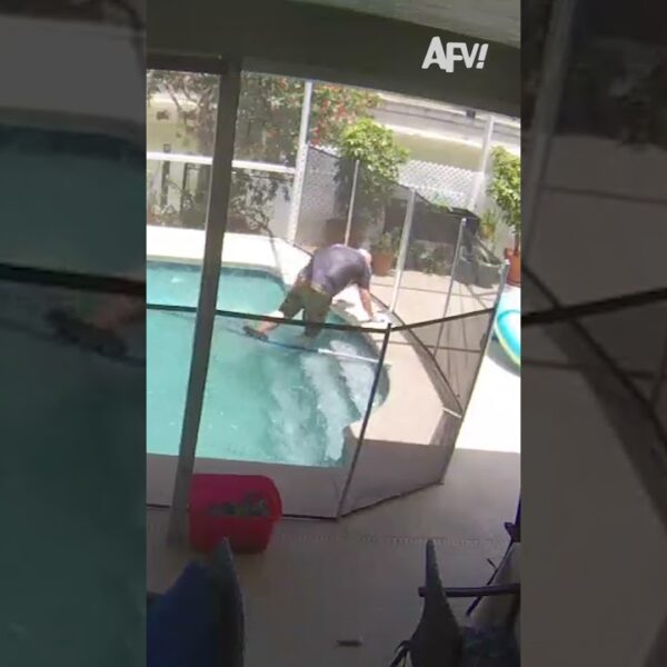 Quick dip in the pool 😅 #afv #fail #funny #shorts