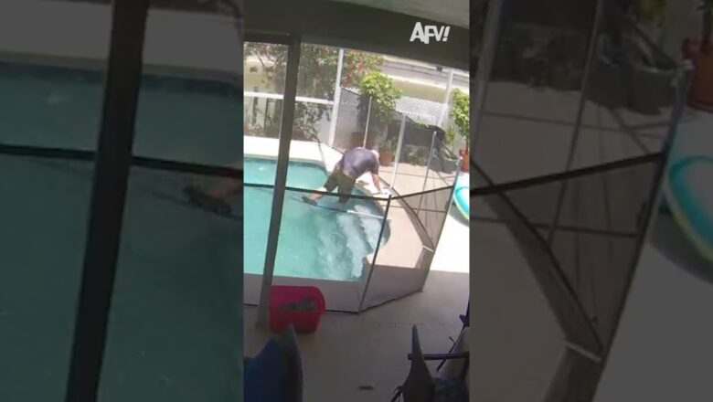 Quick dip in the pool 😅 #afv #fail #funny #shorts
