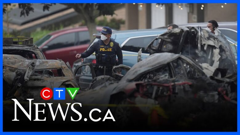 San Diego plane crash | Officials provide update on recovery efforts
