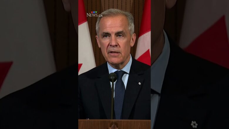 ‘Totally unacceptable’: Canada summons Israeli ambassador over IDF warning shots