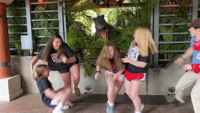 Try Not to Laugh Challenge 🤣 Unexpectedly Wild Videos