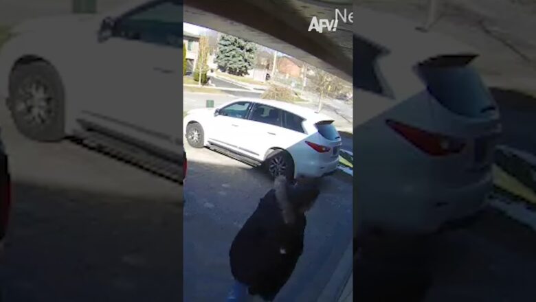 We saw it coming, but he didn’t 😅 #afv #fail #funny #shorts