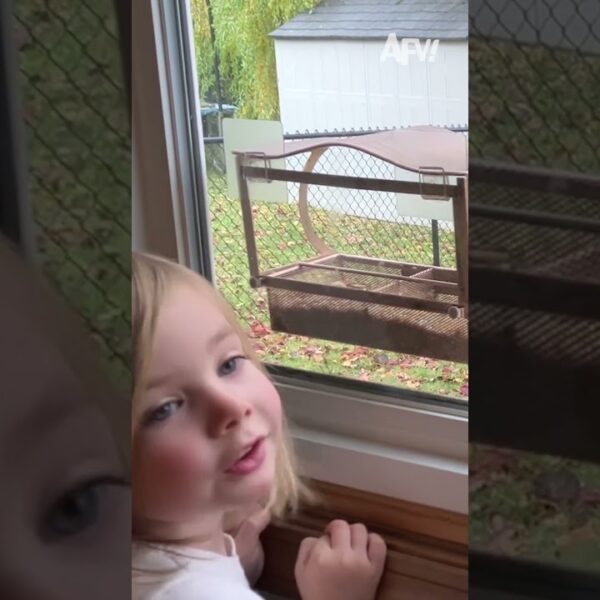 Awfully squirrelly behavior 😂 #afv #funny #scare #shorts