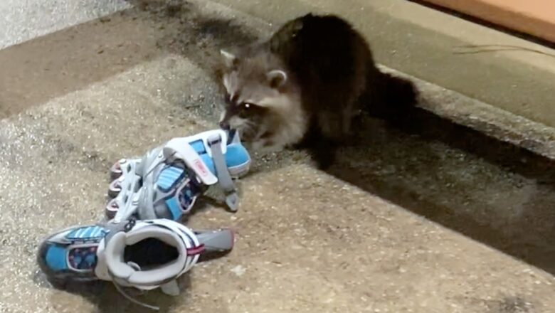 Best Fails of the Week | Disastrous Moments Caught