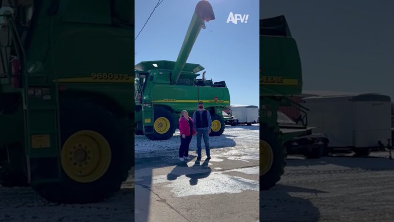 Could it BE any more anti-climactic? 🤣 #afv #genderreveal #funny #shorts