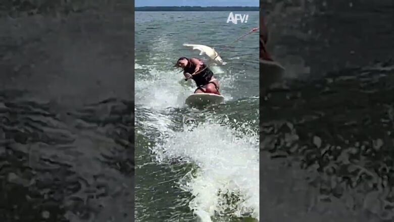 Flap and SLAP ππ€£ #afv #funny #shorts
