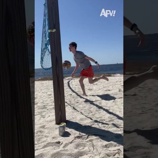 Guess that’s a net loss 😖 #afv #fail #funny #shorts