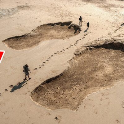 How the Same Dino Tracks Ended Up on Different Continents