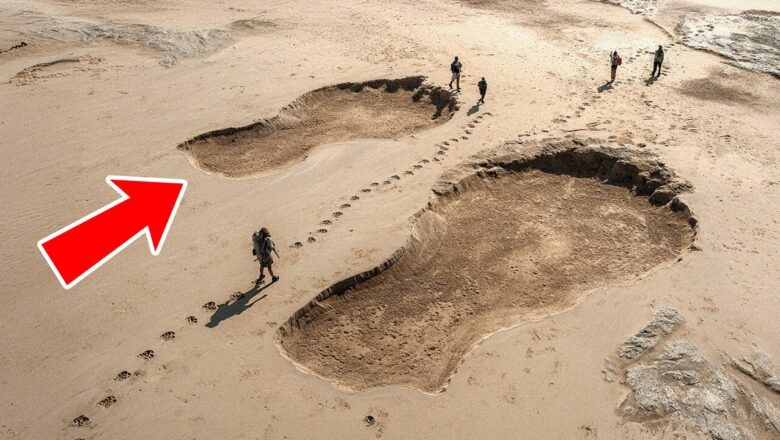 How the Same Dino Tracks Ended Up on Different Continents