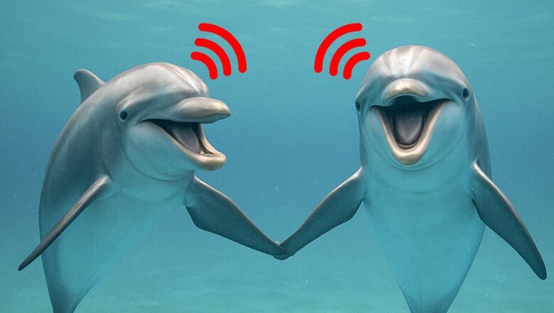 (MULTI) NEW Research Shows Dolphins Speak Using Actual Words
