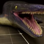 (MULTI!) Scientists Just Found a Giant Mosasaur in Mississippi
