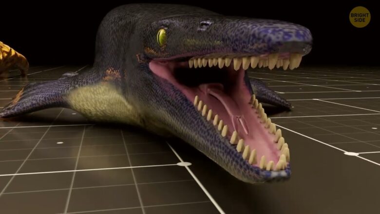 (MULTI!) Scientists Just Found a Giant Mosasaur in Mississippi
