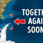(MULTI) Why Antarctica and South America Look Almost Identical