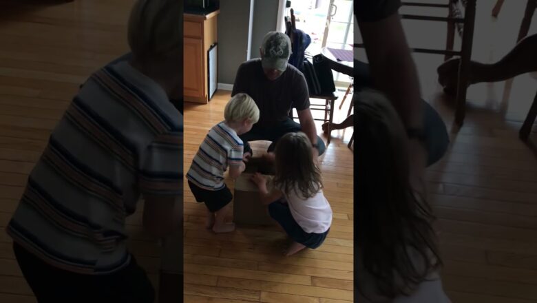 That dog’s about to be her best friend 😅 #afv #kidssay #funny #shorts