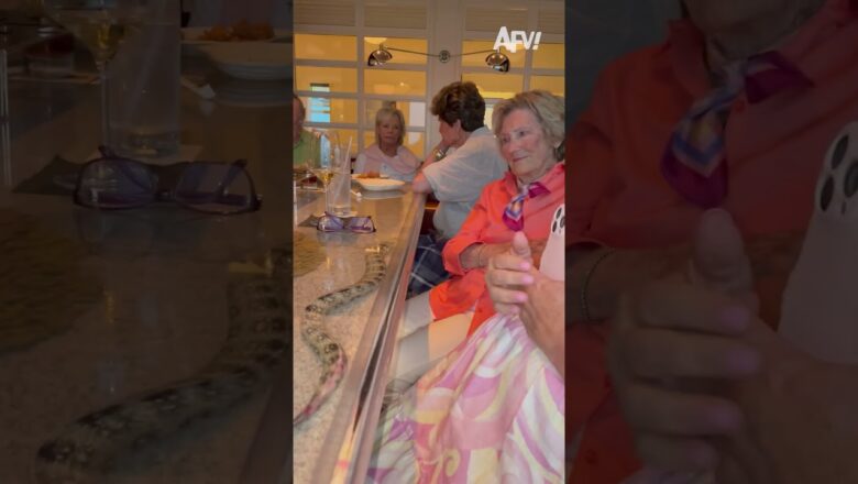That’s a REAL EEL!? #afv #funny #shorts