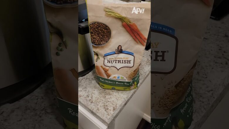 The dishwasher was well fed π€£ #afv #fail #funny #shorts