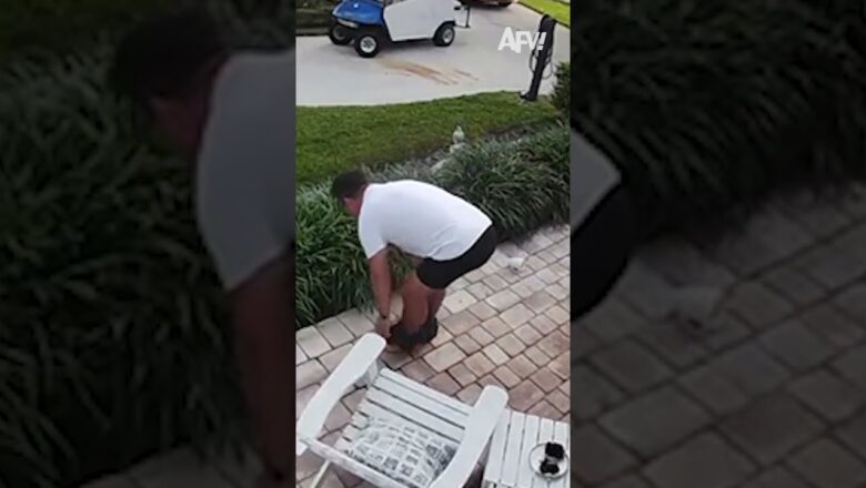 We have the HOTTEST fails π
#afv #fail #funny