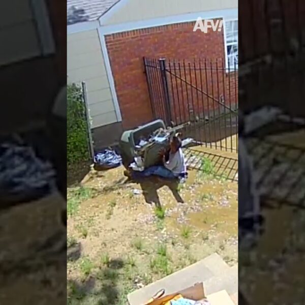 Well, just as I thought… trash 😅 #afv #fail #funny #shorts