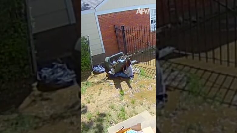 Well, just as I thought… trash π
#afv #fail #funny #shorts