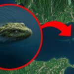 Why Europe-Africa Bridge Was Never Built (And Might Never Be)