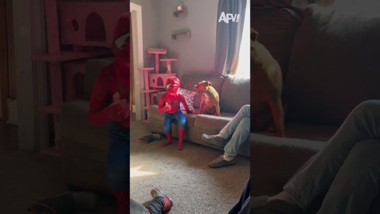 With great power comes poor visibility 🤣 #afv #fail #spiderman #funny #shorts