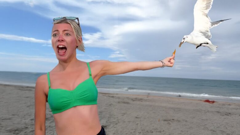 You Laugh, You Lose! π€£ Best Funny Fails of the Week