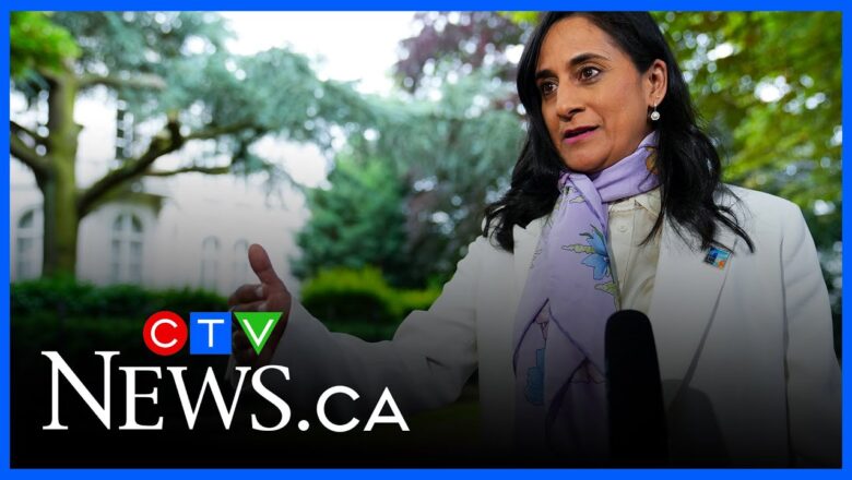 Anand says a two-state solution remains the only viable path to peace for Israel and Palestine