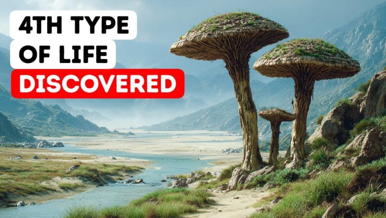 Ancient Life Forms That Don’t Belong Anywhere on the Tree of Life