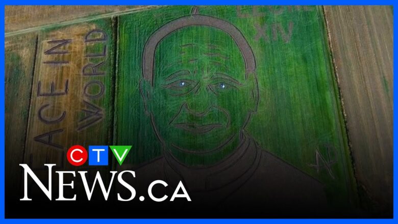 Artist draws portrait of Pope Leo XIV using a tractor on a field in Italy
